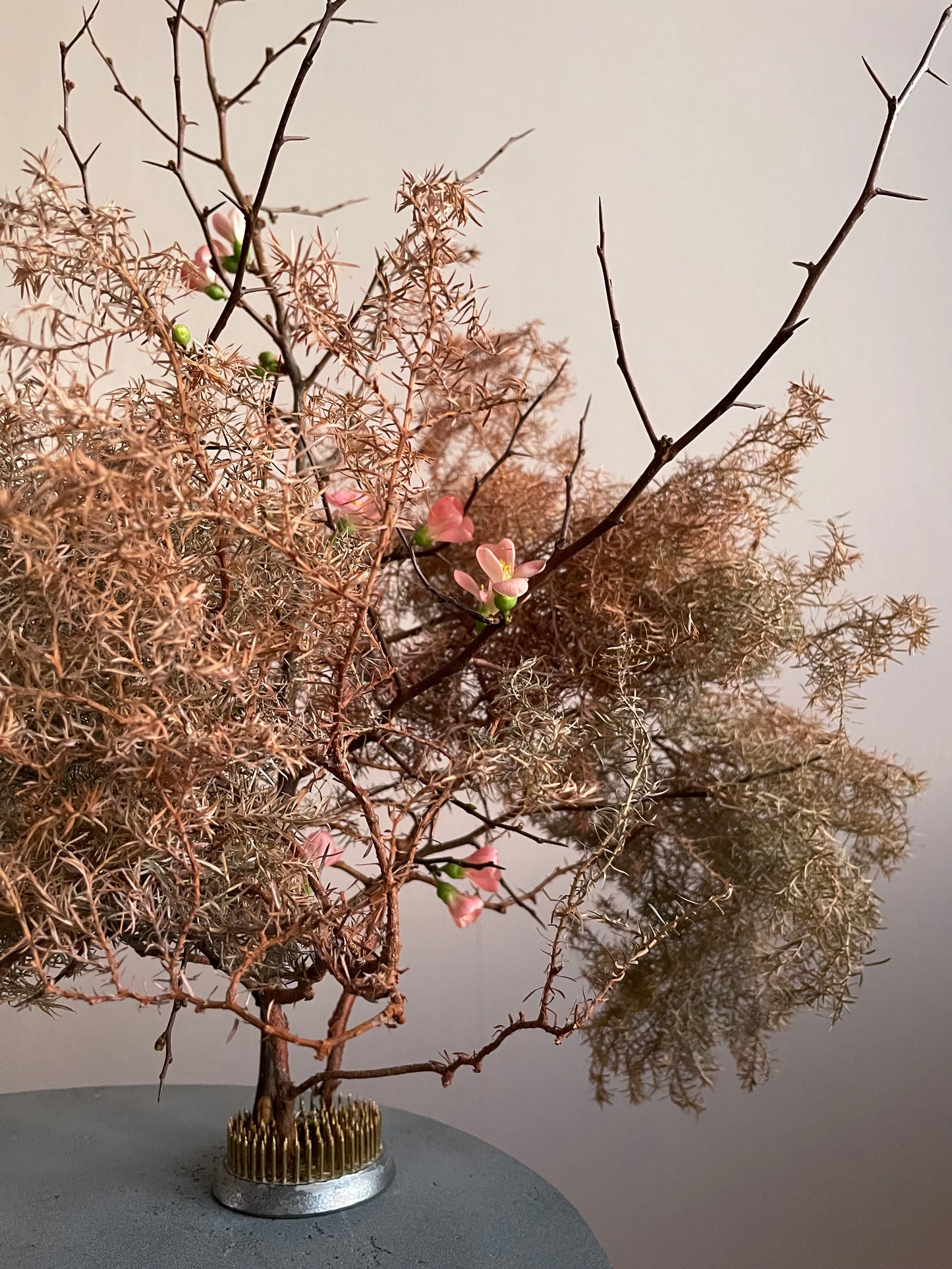 Tillförsikt - Fotografi