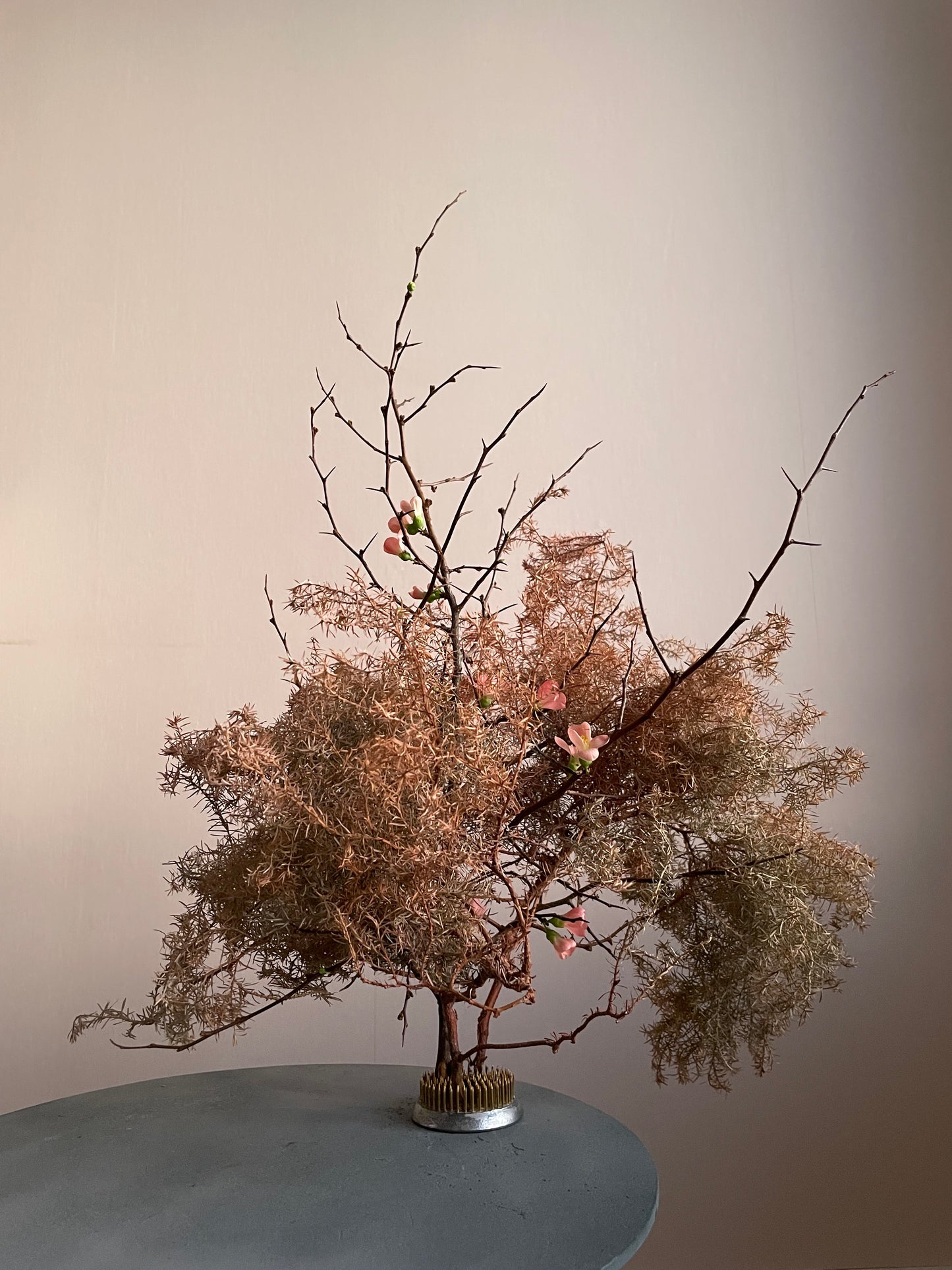 Tillförsikt - Fotografi