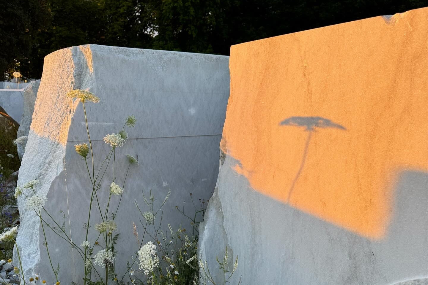 Borghamn marmor Liv Bladh